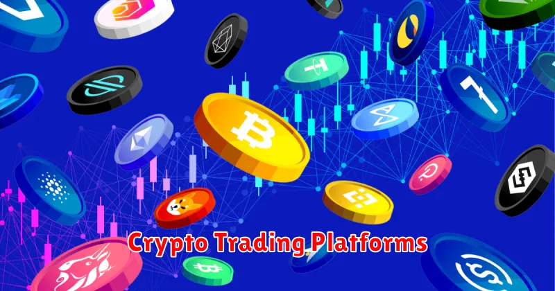 Crypto Trading Platforms