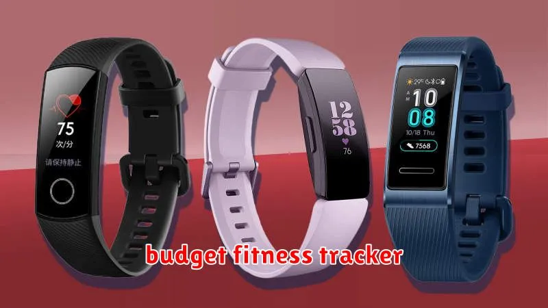 budget fitness tracker